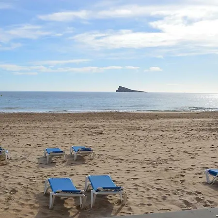 Emalco Anis Primera Linea *